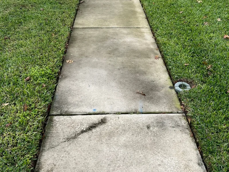 Front walkway concrete darkened by algae and leaf stains between two strips of grass before pressure washing