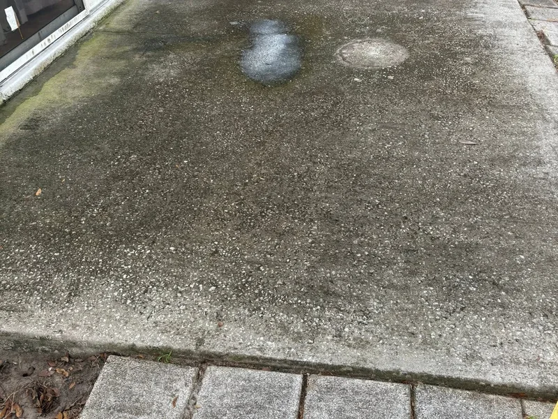 Backyard concrete patio heavily blackened with mildew before pressure washing